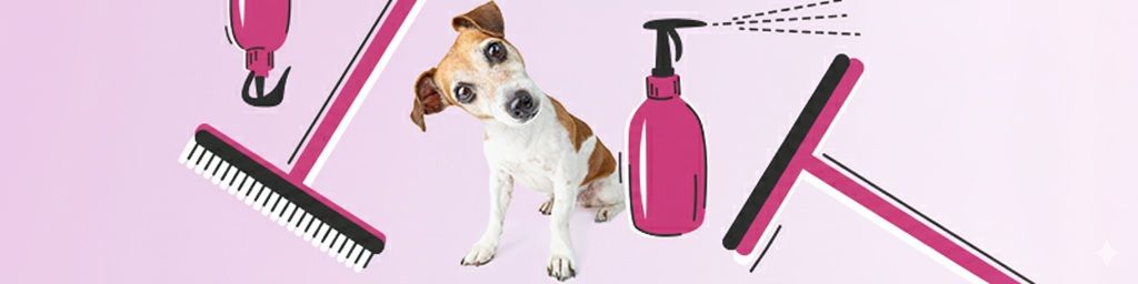 Jak dbać o czystość w salonie groomerskim