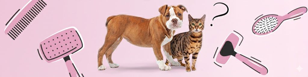 Co to jest FURminator? Jaki eliminator do sierści wybrać?