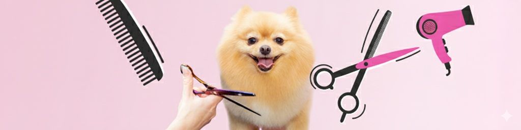 Kim jest psi fryzjer (fryzjer zwierząt)?