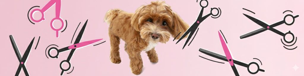 Blog - Nożyczki groomerskie z mikroszlifem do jakiego strzyżenia służą?