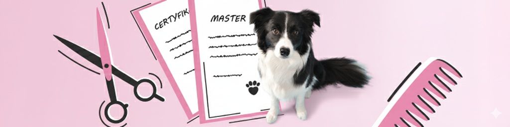 Kursy, szkolenia, staże dla psiego fryzjera