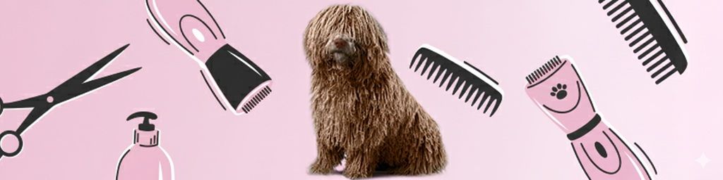 Jaką maszynkę do strzyżenia psów wybrać?