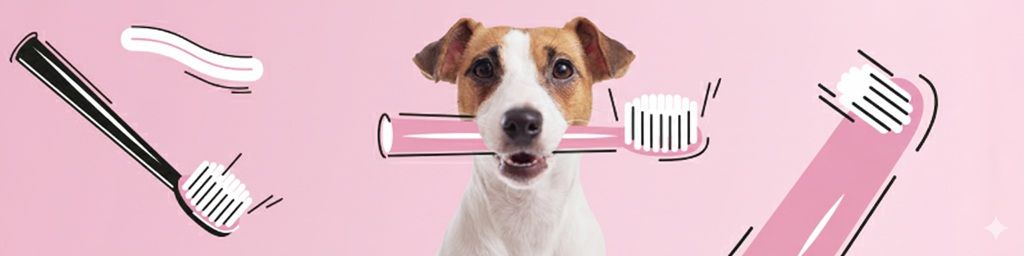 jaką wybrać i jak czyścić psie zęby?