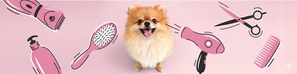 Wyposażenie salonu groomerskiego