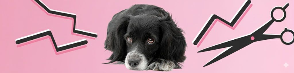 Co robić, by zmniejszyć u psa stres związany z wizytą u groomera