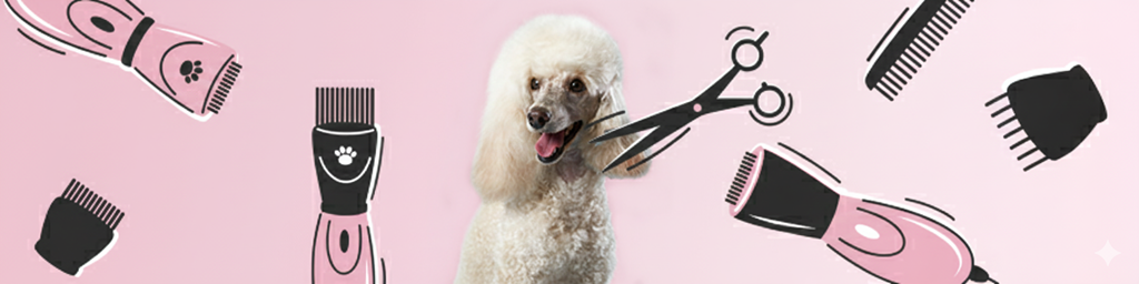 Jaki trymer wybrać do salonu groomerskiego