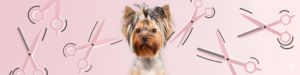 Rodzaje nożyczek groomerskich