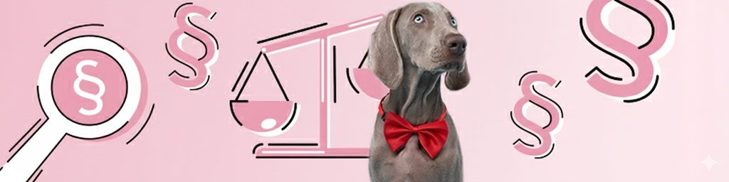 Wymagania potrzebne do prowadzenia salonu groomerskiego