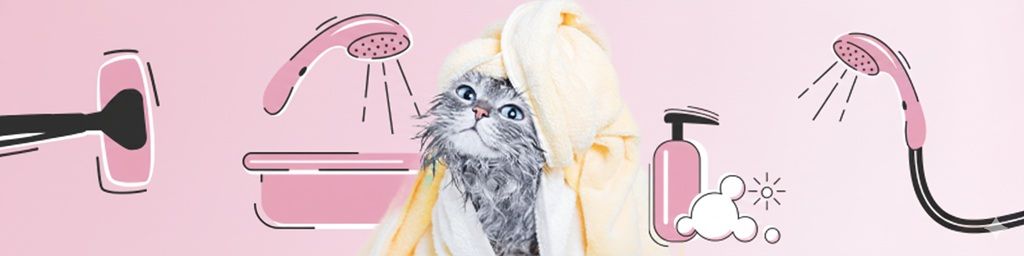 Czy kota się kąpie?