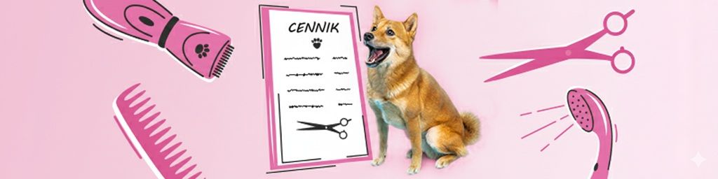 czyli cennik u groomera