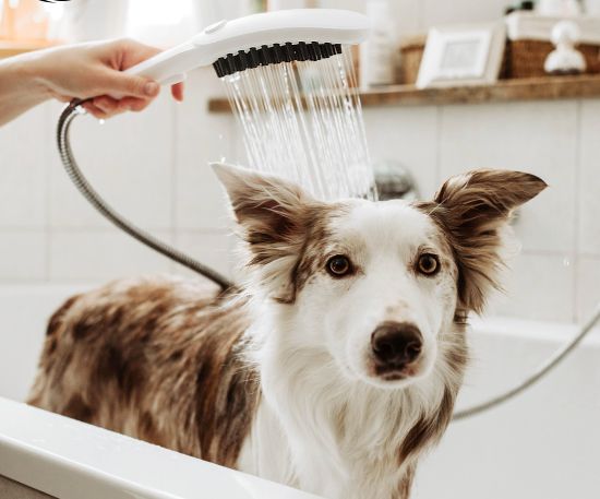 Moser Hansgrohe DogShower - Shower Handset for Pet Bathing