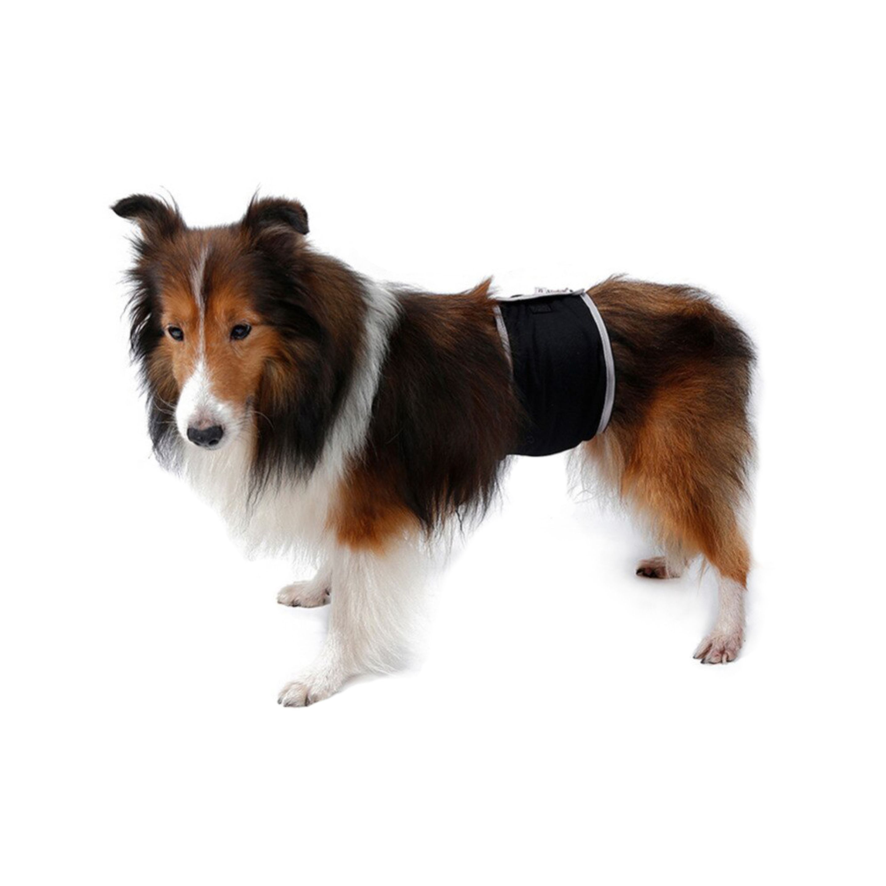 Comfort belly strap for dogs - Chadog Corporate