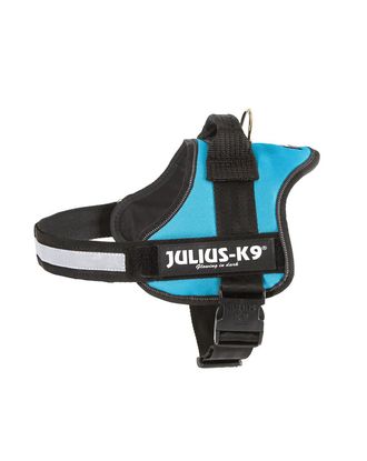 Julius K9 Powerharness Aquamarine