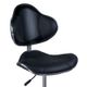 Krzesło groomerskie model BUENO, czarne