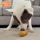 Nylabone Strong Chew Peanut - twardy gryzak dla psa, fistaszek o zapachu masła orzechowego