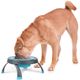 Dexas Popware Collapsible Raised Feeder - miska dla psa na stojaku, składana