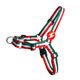 Dashi Stripes Green & Red Front Harness - szelki norweskie dla psa, no-pull, paski zielono-czerwone