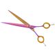 P&W ButterFly Straight Scissors - profesjonalne nożyczki groomerskie, proste