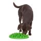 Northmate Green Slow Feeder - miska spowalniająca jedzenie, dla psów wszystkich ras
