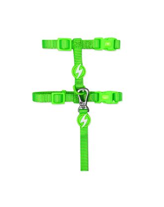 Dashi Neon Green Cat Harness + Leash - nylonowe szelki i smycz dla kota, zestaw, neonowa zieleń