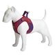 Max&Molly FC Barcelona Air Vest Dog Harness - bezuciskowe szelki dla psa, z motywem klubu piłkarskiego