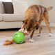 Nina Ottosson Dog Snuffle N' Treat Ball Level 2 - węchowa piłka na przysmaki dla psa, z 6 wiewiórkami, poziom 2, zielona