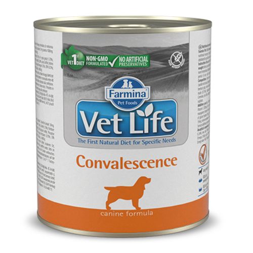 Farmina Vet Life Convalescence 300g - mokra karma weterynaryjna dla psa w okresie rekonwalescencji