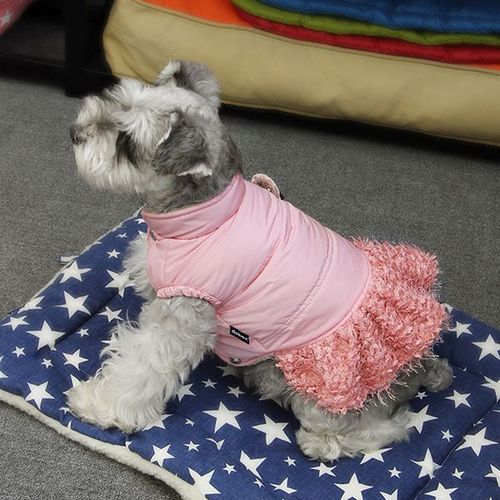 Dobaz elegancka kurteczka dla psa z broszk i sp dniczk pudrowy r