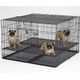 MidWest Puppy Playpen 248-10 rozmiar L - kojec dla szczeniąt, 122x122x76cm