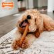Nylabone Power Chew Baguette - twardy gryzak dla psa, bagietka o zapachu kurczaka