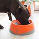 OH Bowl Large 1L - miska dla średniego i dużego psa, wspomagająca higienę jamy ustnej