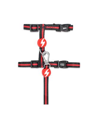 Dashi Stripes Red & Black Cat Harness + Leash - szelki i smycz dla kota, zestaw, czerwono-czarne paski