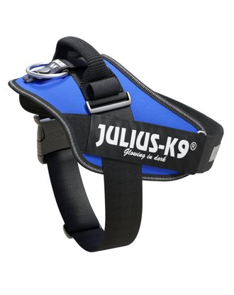 Julius-K9  IDC Powerharness Blue