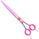 P&W ButterFly Straight Scissors - profesjonalne nożyczki groomerskie, proste