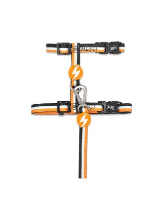 Dashi Stripes Orange & Black Cat Harness + Leash - szelki i smycz dla kota, zestaw, pomarańczowo-czarne paski
