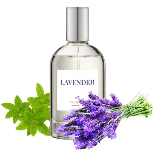 iGroom Eau De Toilette Lavender 100ml - perfumy dla psa o zapachu lawendy z nutą mięty