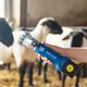 Aesculap Econom NOVA CL - profesjonalna, bezprzewodowa maszynka do strzyżenia owiec z ostrzem 3,5mm