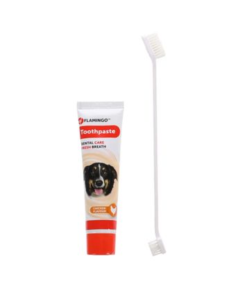 Flamingo Toothpaste & Toothbrush Dafra Tube - zestaw do higieny jamy ustnej psa i kota