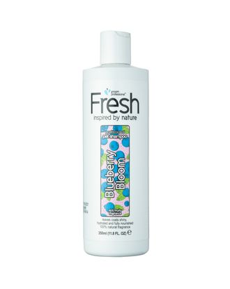 Groom Professional Fresh Blueberry Bloom Shampoo - szampon detoksykujący dla psa, koncentrat 1:24 - 350ml
