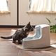 PetSafe Drinkwell Mini Pet Fountain 1,2L - fontanna dla kota i małego psa