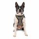 Kurgo Impact Dog Car Harness - szelki samochodowe dla psa