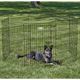 MidWest ConTour Exercise Pen - zagroda, płotek, kojec dla psa, wysokość 91cm