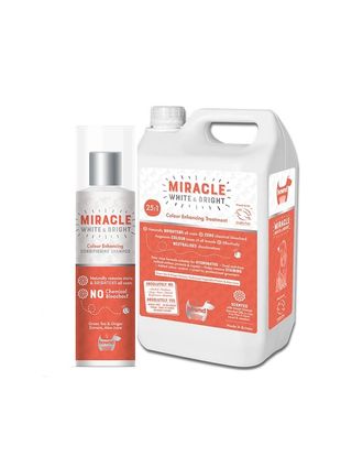 Hownd Miracle White & Bright, Colour Enhancing Shampoo - szampon dla psa i kota wzmacniający naturalny kolor szaty, koncentrat 1:25