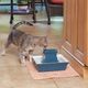 PetSafe Drinkwell Pagoda Ceramic Pet Fountain 2L - ceramiczna fontanna dla kota i psa, niebieska
