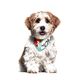 Max&Molly Reversible Bandana Missy Pop - chusta dla psa, dwustronna