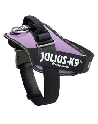 Julius-K9 IDC Powerharness Purple 