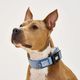 Max&Molly GOTCHA! Smart ID Matrix 2.0 Extra Wide Collar Ocean - szeroka obroża dla psa z identyfikatorem QR, niebieska