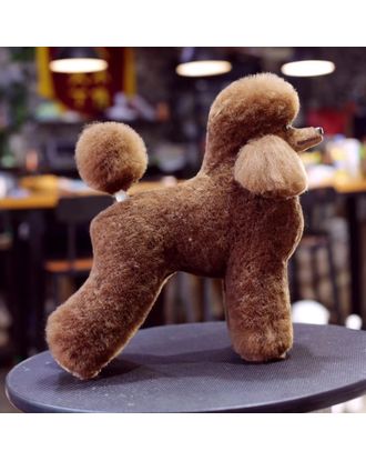 Mr. Jiang Poodle Full Body Hair Lamb - wymienna sierść do manekina groomerskiego Toy Poodle, brązowa