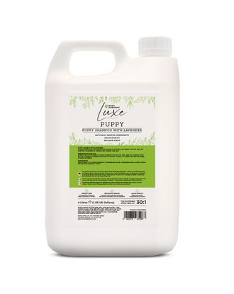 Groom Professional Luxe Puppy Shampoo - łagodny szampon dla szczeniąt, o zapachu lawendy, koncentrat 1:30