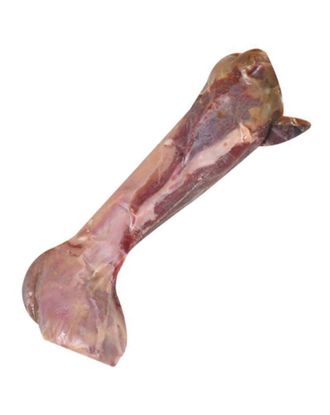 Flamingo Ham Bone - kość dla psa, od szynki wieprzowej